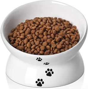a nice food bowl